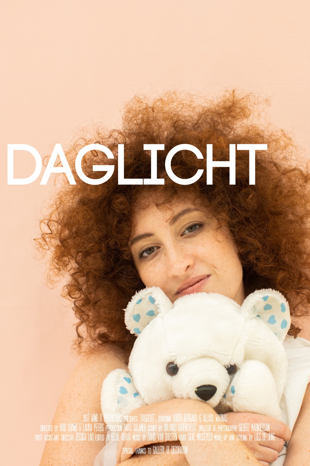 Daglicht poster
